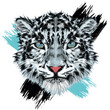 Snow Leopard realistic vector portrait in grunge style