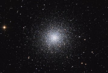 Wall Mural - m 13