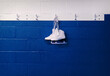 Figure skates hanging over a blue wall in locker room with copy space. Centered, straight view