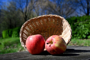 Poster - two apples and a basket on a wooden table