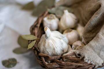 Wall Mural - Garlic cloves on a wooden vintage background.