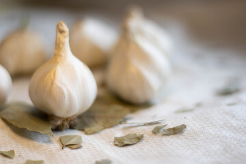 Wall Mural - garlic on a board