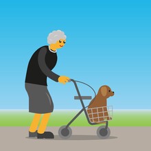 Senior Lady Taking A Walk With Her Dog And Walking Rollator.