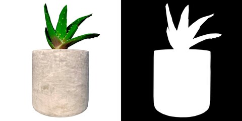 Front view of Plant (Flowerpot Vase with Aloe Vera 2) Tree png with alpha channel to cutout made with 3D render 