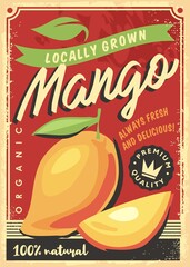 Poster - Mango locally grown tropical fruit decorative ad design for fruit market. Mango fruits retro vector poster template. Fresh organic food.