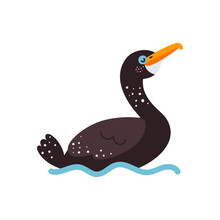 Vector Illustration On White Background, Cormorant Bird