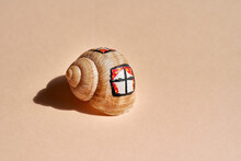 A Snail Shell With A Window Painted On It