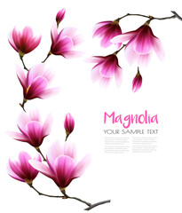 Aufkleber - Nature background with blossom branch of pink magnolia. Vector