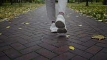 Back View Of Man Feet Walking Along Autumn Park In Daytime. Unknown Man Legs 