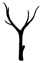 Vector Image Of A Dry Tree Branch. Isolated Illustration On A White Background. Black Silhouette Of A Branch, Doodle Hand Drawn Illustration