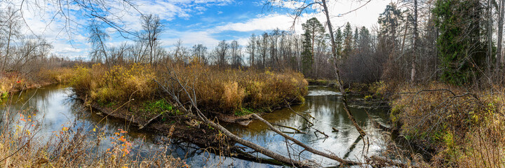 Wall Mural - Panoramic view of the turn of the Chur River with fallen trees in the foreground. Yakshur-Bodinsky district, Udmurt Republic, Russia.