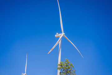 Wind mills during bright summer day. wind power plant