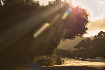 Exploring Jalama county park in the spring