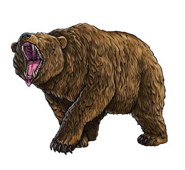 Sticker - Grizzly bear, Cave bear illustration. Bear attack drawing.	
