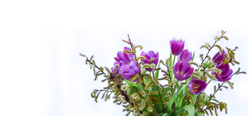 Wall Mural - Birthday card with a bouquet of purple tulips on a white background.