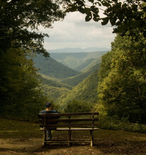 Vertical Shot Of A Person Sitting On The Bench In The Forest