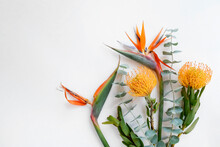 Colorful Bouquet Of Exotic Flowers. Bird Of Paradise And Protea Flowers With Eucalyptus. Vivid Orange And Yellow Inflorescences Of Tropical Plants Isolated On White. Close Up, Background, Copy Space.
