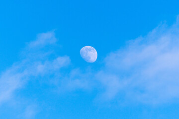Wall Mural - moon is in the blue sky during the day, three days before the full moon.
