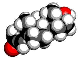 Wall Mural - Testosterone male sex hormone (androgen) molecule. 3D rendering. Atoms are represented as spheres with conventional color coding