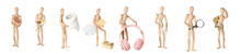 Collage Of Wooden Mannequins With Different Items On White Background
