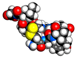 Sticker - Oxytocin hormone molecule.  3D rendering. Atoms are represented as spheres with conventional color coding: hydrogen (white), carbon (black), oxygen (red), nitrogen (blue), sulfur (yellow).