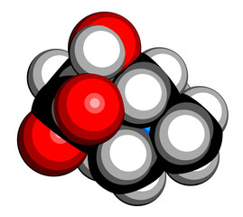 Wall Mural - Carnitine food supplement molecule. 3D rendering. Atoms are represented as spheres with conventional color coding: hydrogen (white), carbon (black), oxygen (red), nitrogen (blue).