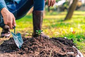 World environment day reforesting, nature and ecology concept. The hands of the young man were planting the seedlings and tree growing into the soil while working  save the world, earth day,