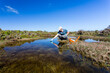 © IzzetNoyan - Scientist measuring environmental water quality parameters in a wetland.