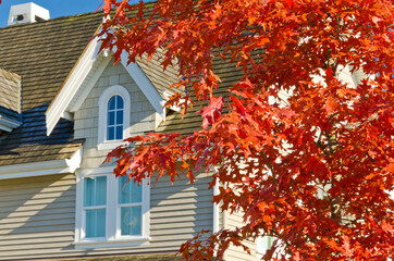 fragment of a nice house over beautiful red maple tree in vancouver, canada.