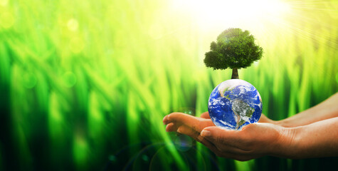 Earth planet with green tree in woman hands and copy space. Save and protection Earth planet. 
Concept of the Environment World Earth Day:  Elements of this image are furnished by NASA
