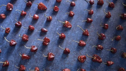 Wall Mural - Red color raw whole dried round chili