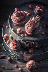 Wall Mural - Sweet chocolate cupcake with nuts. Chocolate cupcake with nuts.