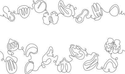 Wall Mural - Vector One line Drawing Seamless patterns with Various Nuts and Seeds. Can be yused as background, frame, template, border, backdrop, label, banner, flyer, card, cover, texture.