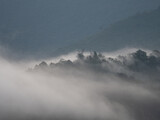 Fototapeta Na ścianę - Foggy mountain
