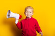 © Alex - smiling child girl holding a megaphone on a bright yellow background.