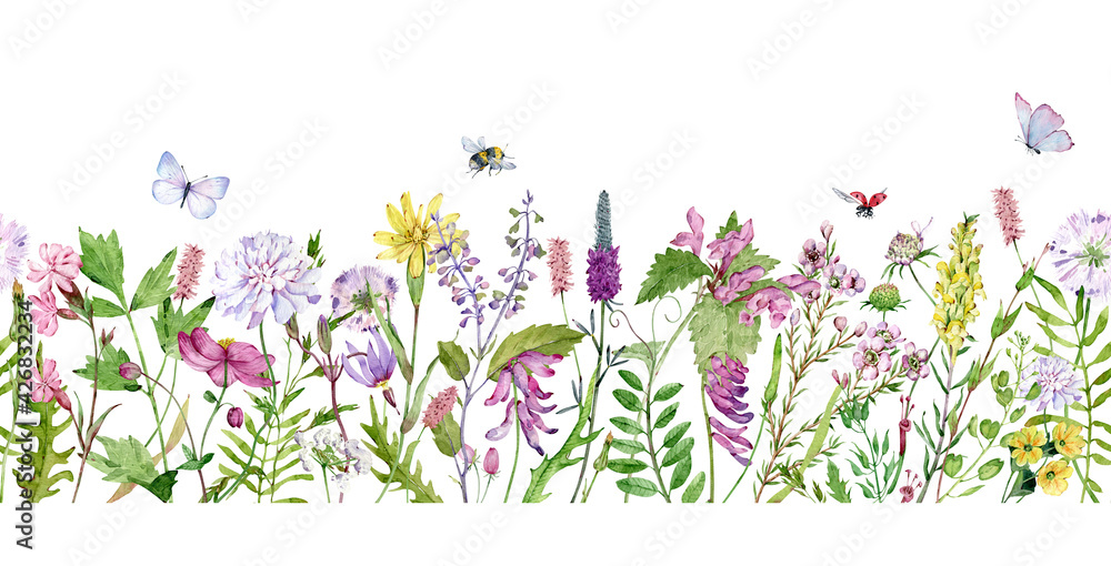 Watercolor seamless border with wildflowers, bumble bees, butterflies and lady bugs. Filed flowers header. - obrazy, fototapety, plakaty 
