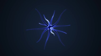 Wall Mural - 3D animation of Neurons. Fixed lens. The background is dark blue and the subject is isolated.