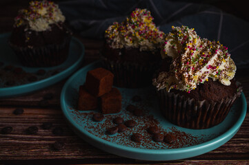 Tasty chocolate homemade cupcake with white cream topin and colourful sprinkles for birthday