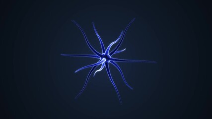 Wall Mural - 3D animation of Rotating Neurons. Fixed lens. The background is dark blue and the subject is isolated.