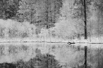 Winter landscape with a pond.