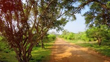 Riding Along A Red Dirt Road In Sri Lanka, With Sound