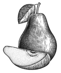 Engrave isolated pear hand drawn graphic illustration