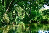 Fototapeta Krajobraz - Nature reserve in Poland, Barycz Valley, trees, water, Park,
