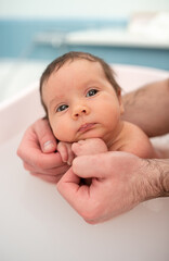 Wall Mural - small child takes a bath. Parents bathe the baby. Pretty Baby. The newborn is bathed. Crusts on the baby's face. Bathroom with milk. The newborn is smiling. Beautiful kid portrait. little child smiles