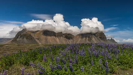 Poster - Islandia - Iceland 