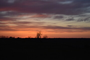 Wall Mural - Sunset