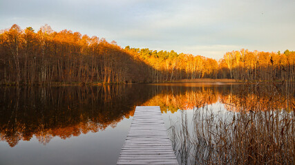 Biosphärenreservat Schorfheide-Chorin, Germany