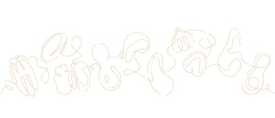 Vector  Seamless patterns with  Various Nuts and Seeds. Border with almond, cashew, peanut, walnut, pistachio isolated on white background.