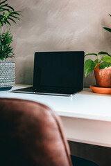 Black screen laptop workstation in home or office with green tropical plants on white desk and gray concrete wall