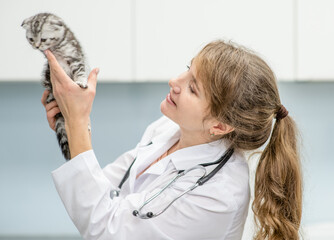 Sticker - Happy vet holds tiny kitten at veterinary clinic